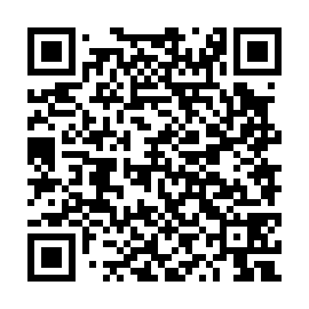 QR code for DYN078