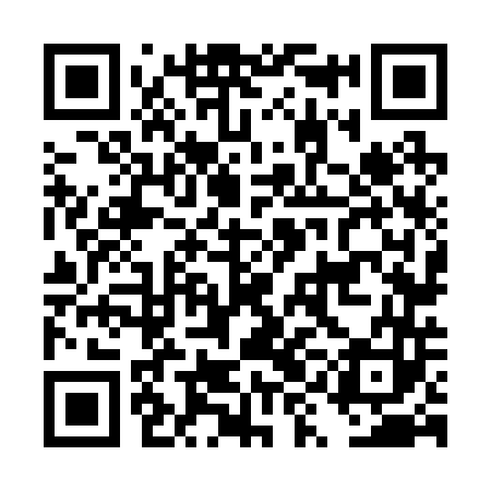QR code for DYN243