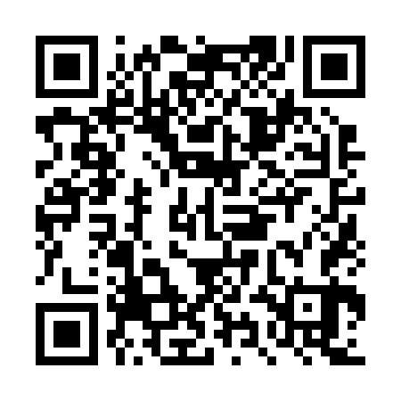 QR code for DYN263