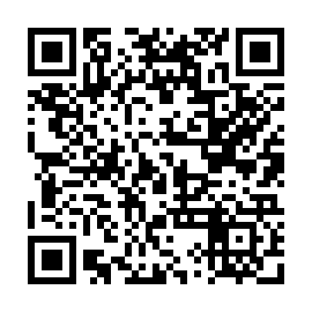 QR code for DYN323