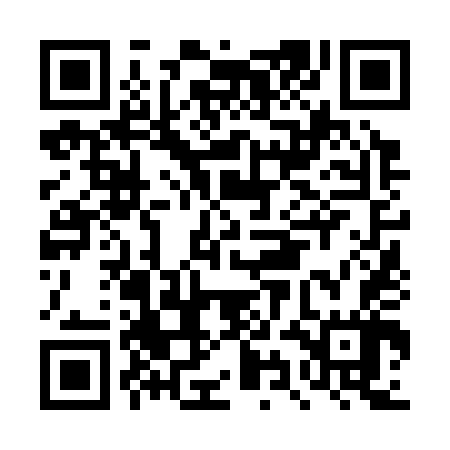 QR code for DYN347