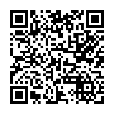 QR code for DYN375