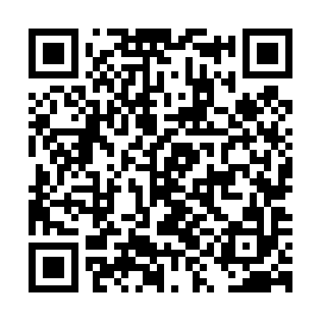 QR code for DYN492