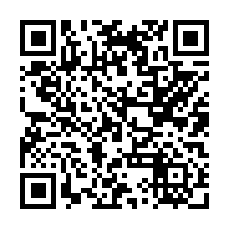 QR code for DYN611