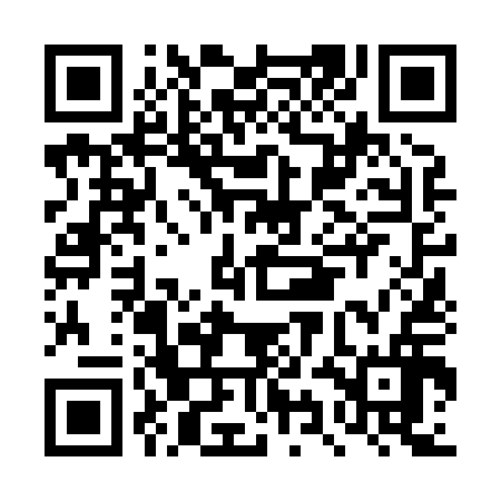 QR code for DYN816