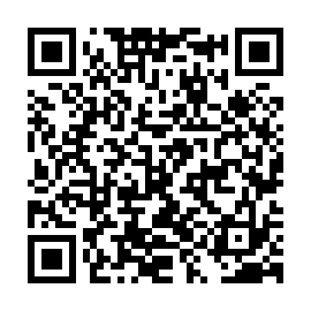 QR code for DYN833