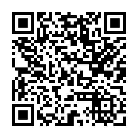QR code for DYN959