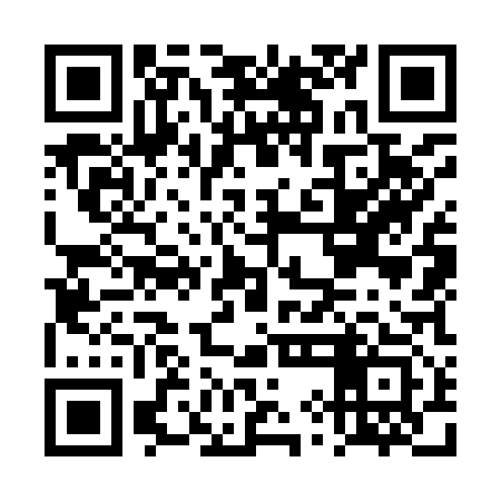 QR code for DYO913