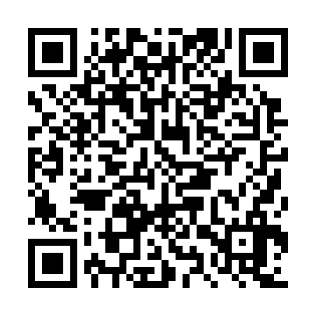 QR code for DYP336