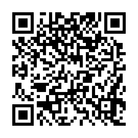 QR code for DYP376