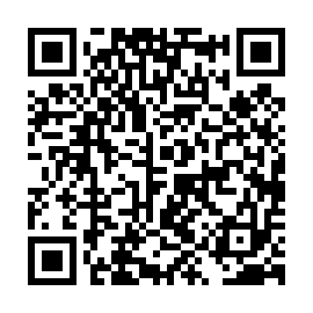 QR code for DYP413