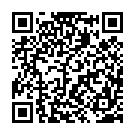 QR code for DYP416