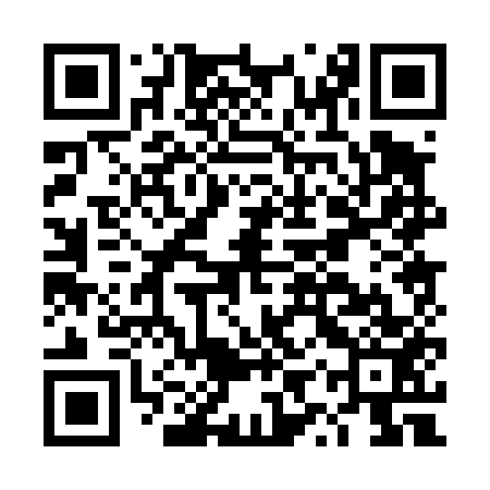 QR code for DYP453