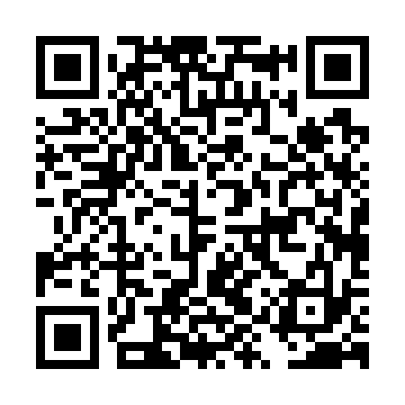 QR code for DYP733