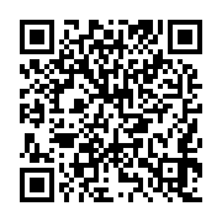 QR code for DYP953