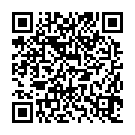 QR code for DYR382