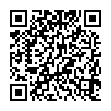 QR code for DYR991