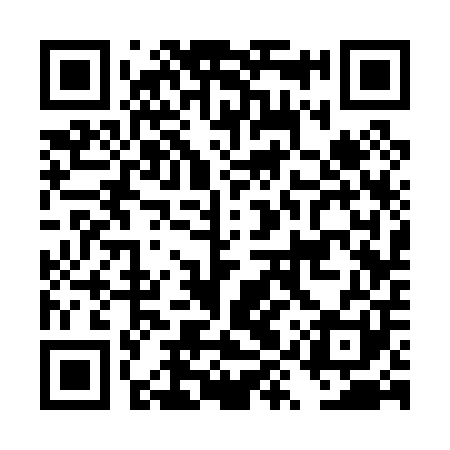 QR code for DYS001