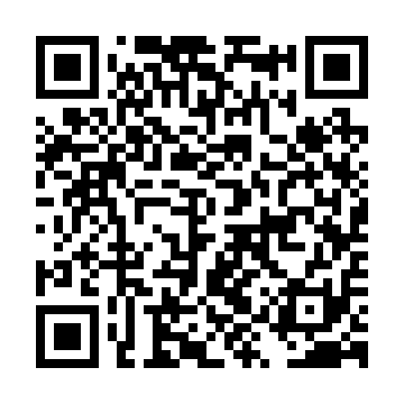 QR code for DYS211