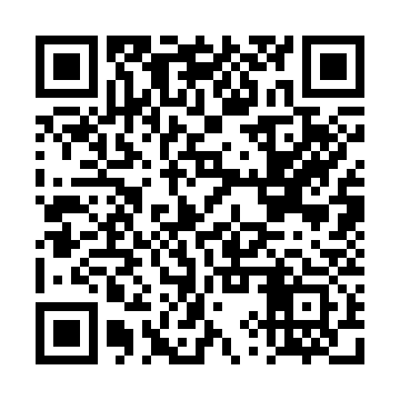 QR code for DYS333