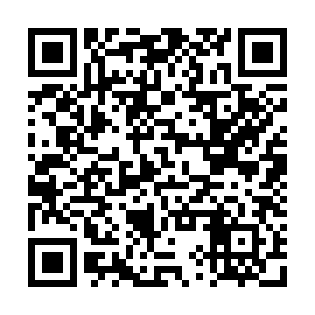 QR code for DYS382