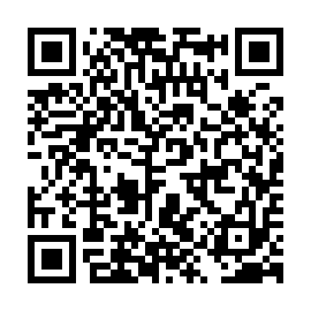QR code for DYS913