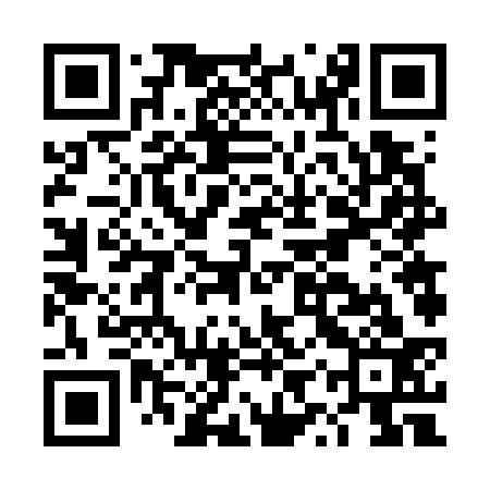 QR code for DYV733