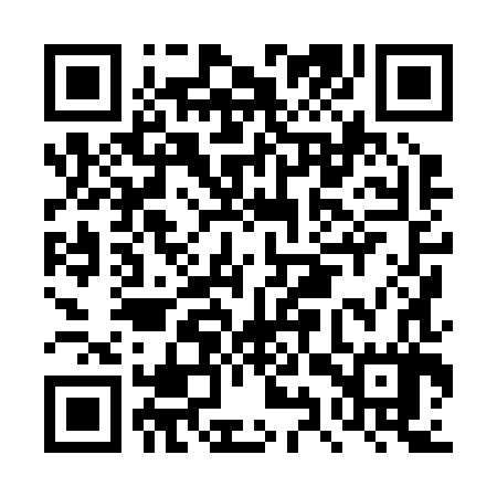QR code for DYX287