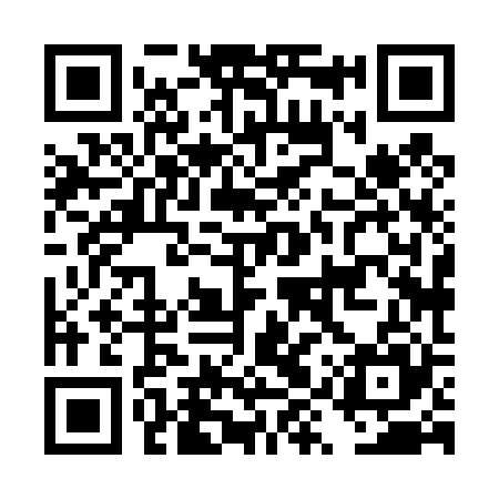 QR code for DYX425