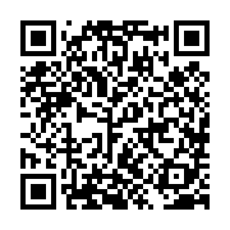 QR code for DYX489
