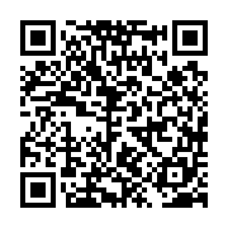 QR code for DYX755