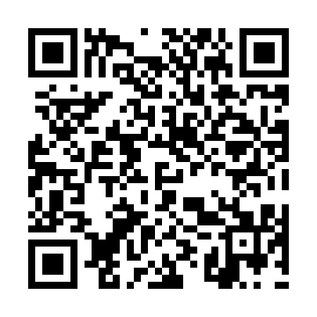 QR code for DYX811