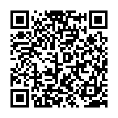 QR code for DYY333