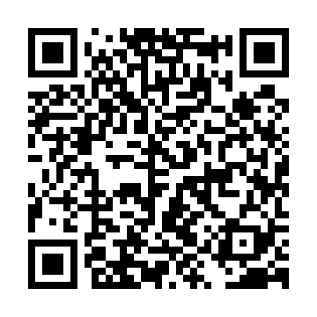QR code for DYY529