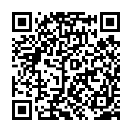 QR code for DYY697