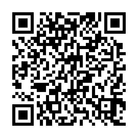 QR code for DYZ313