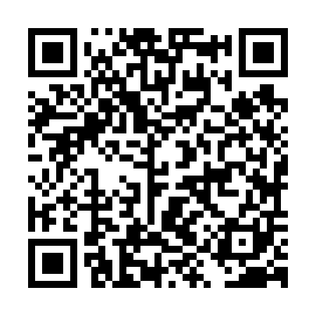 QR code for DYZ601