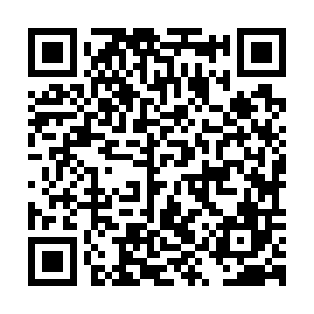 QR code for DYZ706