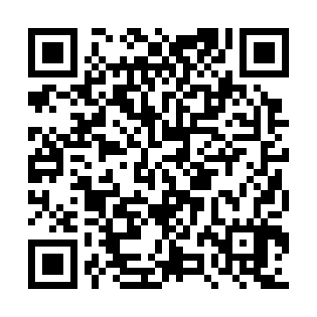 QR code for DZB307