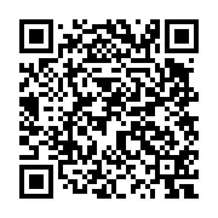 QR code for DZB411