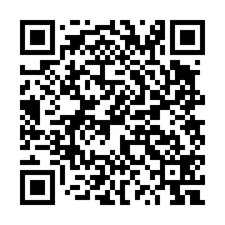 QR code for DZB419