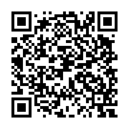 QR code for DZB497