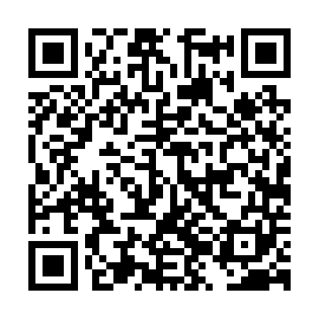 QR code for DZD241