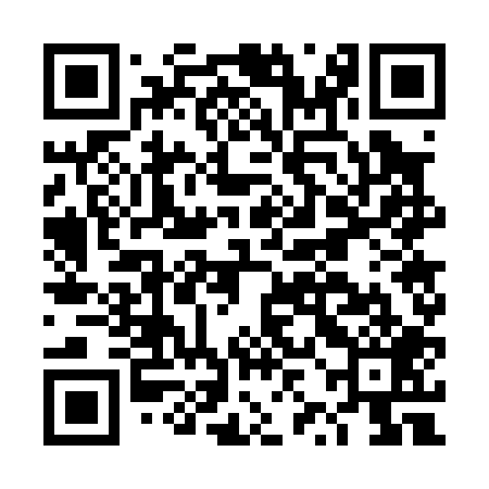 QR code for DZG009