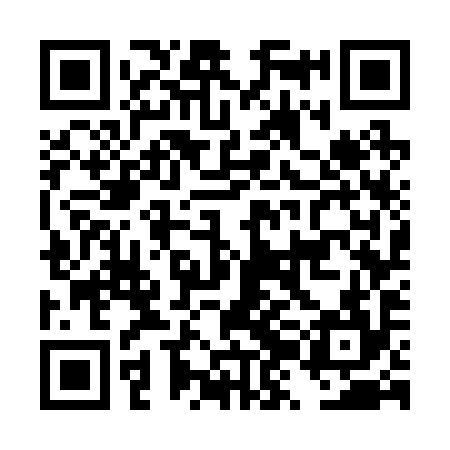 QR code for DZG294