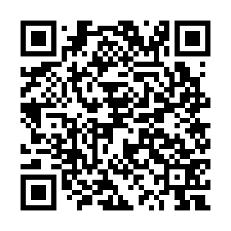 QR code for DZG373