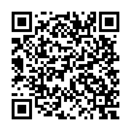 QR code for DZG517