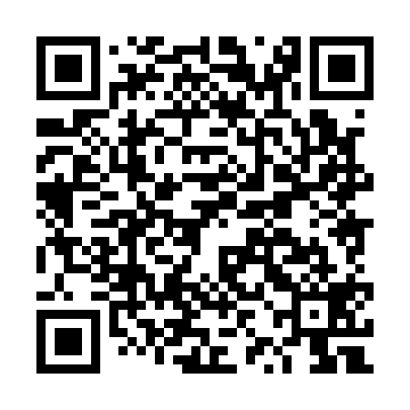 QR code for DZH119
