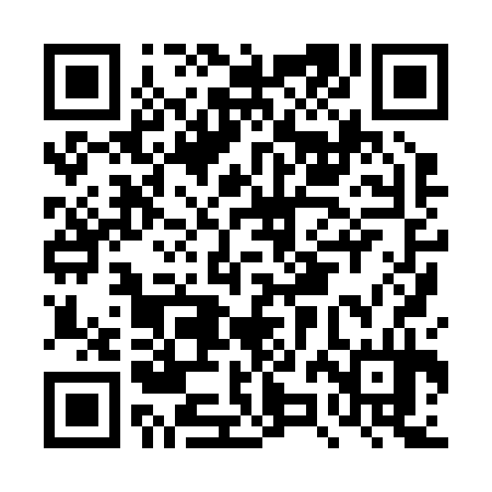 QR code for DZH234