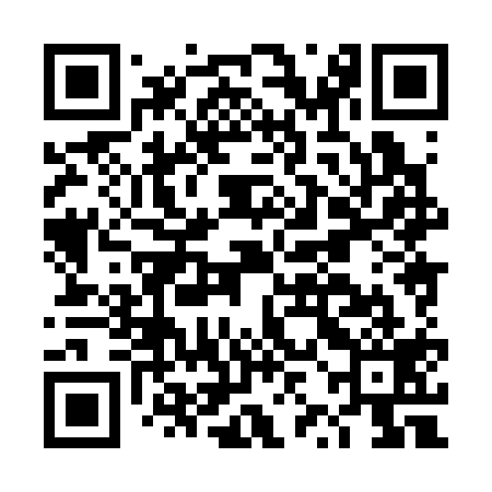 QR code for DZH319